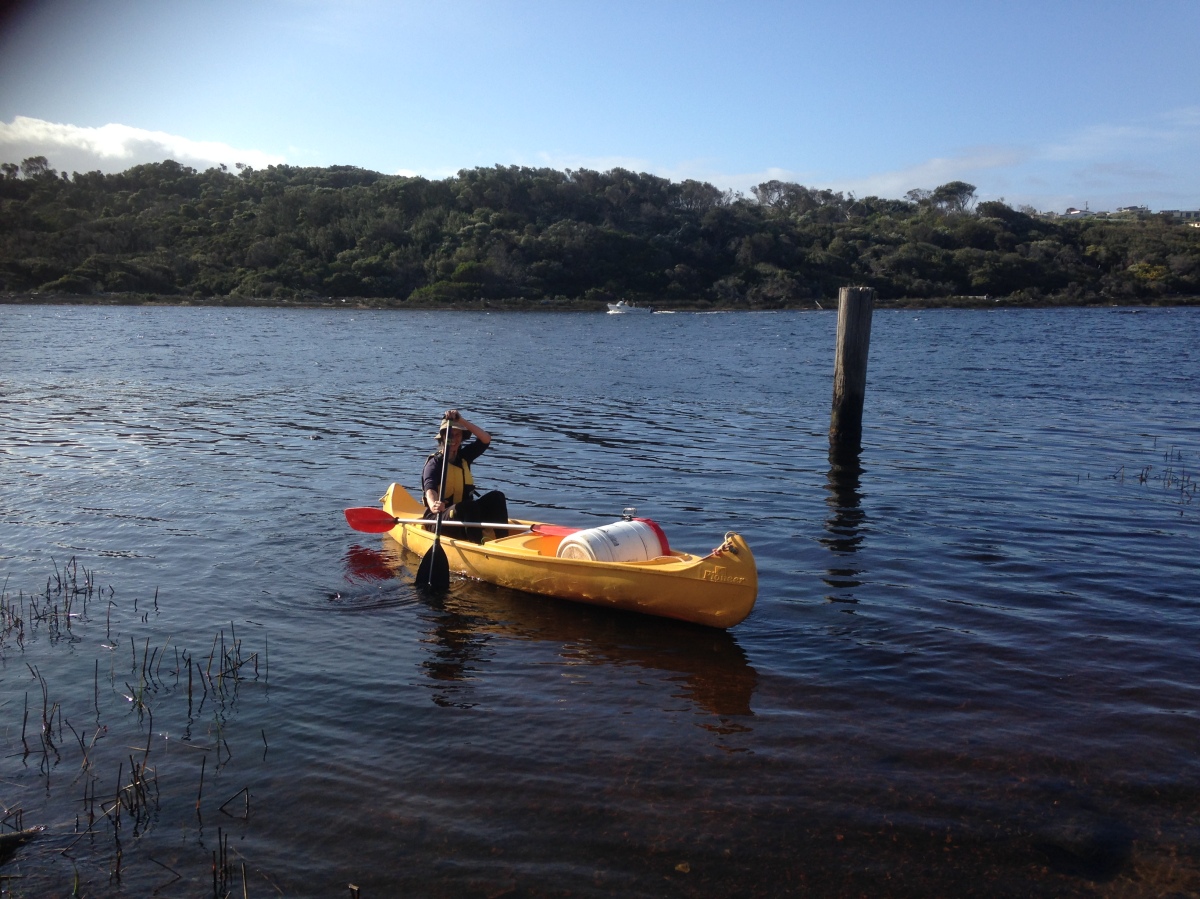 Arthur River Canoe and Boat Hire – Experience the best of 